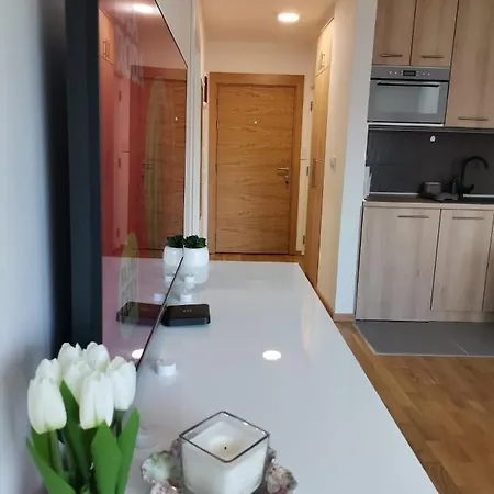 Mdm Apartman Vrnjacka Banja Exterior photo