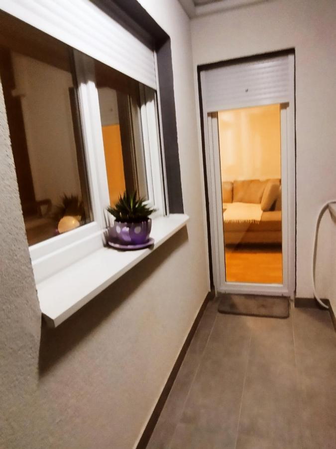 Apartment Mdm